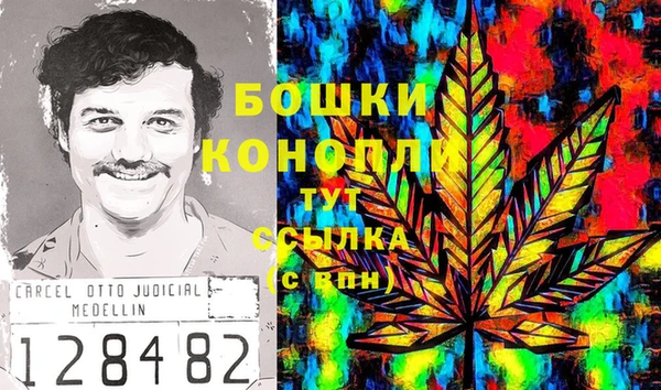 стаф Покровск